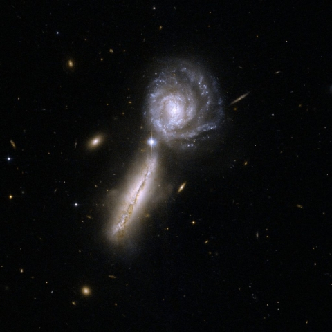 Collection of some real Arp-galaxies
